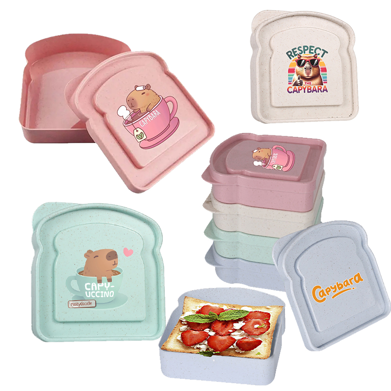 Food Storage Containers Plastic Box - กล่องเก็บอาหารลายคาปิบารา สำหรับใส่แซนวิช สลัด ผลไม้ ขนม กล่องอาหารกลางวันแบบมีฝาปิด