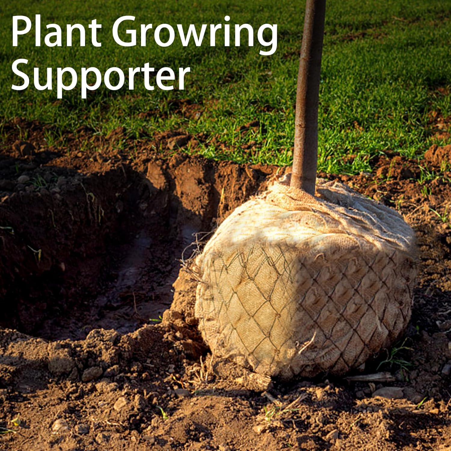1 แพ็คกระสอบมันฝรั่ง Burlap กร - Food Storage In Roots บทวิจารณ์และราคา